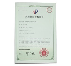 一种能够调节旋盖钮力的旋盖机